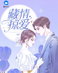 小说藏情介绍