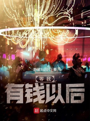 等我有钱以后 小说
