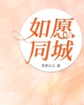 如愿的同义词的近义词