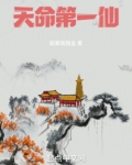 天命第一仙