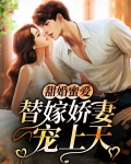 替嫁婚宠甜妻娇又聊!