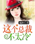 这个总裁不太冷