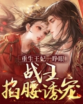 重生王妃战神王爷