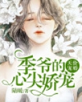 天价宠婚:季爷的心尖娇宠 陆暖