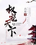 权宠天下