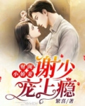财阀小娇妻：谢少宠上瘾！