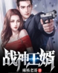 战神王婿小说全文免费阅读