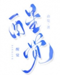 醒觉小说