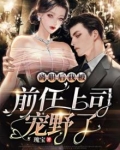 离职后我被前任上司宠野了