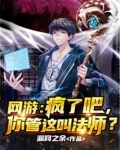 网游：疯了吧，你管这叫法师？