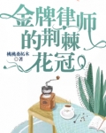 金牌律师的荆棘花冠全文免费阅读