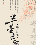 半壶老酒诗词