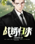 战婿归来9至200集
