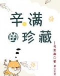 辛满的珍藏小说