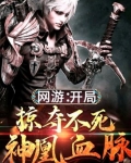 网游开局掠夺不死神凰血脉