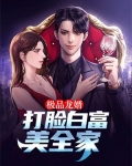 极品龙婿龙城飞将免费下载
