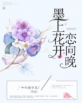 墨上花开恋向晚全文免费阅读