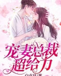 宠妻总裁超给力全文免费阅读云倾