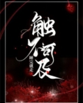 触不可及电视剧