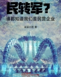 军转民集团