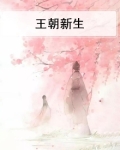 王朝诞生小说