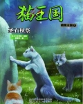 猫武士・暗黑王国 凤青钗