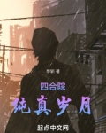 四合院:纯真岁月