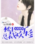 无限婚契，枕上总裁欢乐多