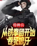 特种兵:从铁拳团开始,卷死狼牙顶点小说