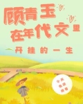 穿越年代文:开局爹妈就离婚