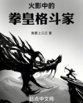 火影之拳皇格斗家