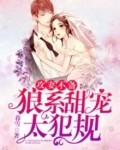 总裁甜妻大结局介绍