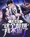 这个赘婿有点强 小说