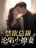 禁欲总裁温柔宠